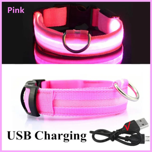 LED Glowing Dog Collars Rechargeable Taylered PicksTaylerpicks.myshopify.com