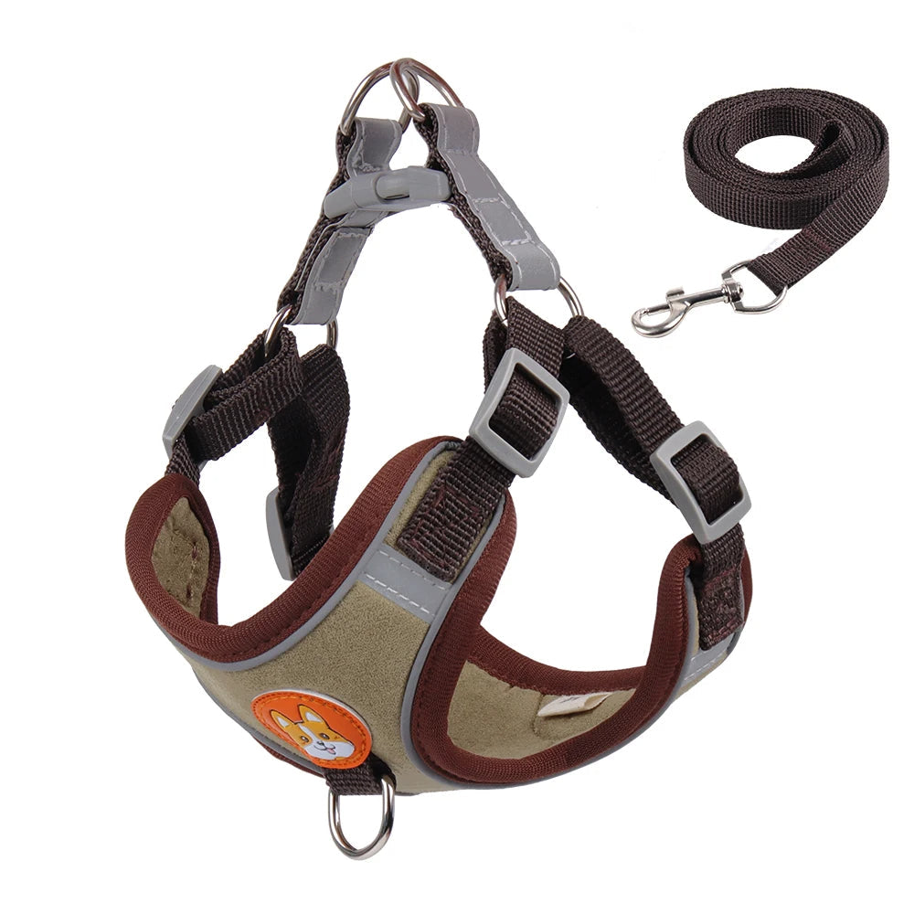 Pet Cat Harness And Leash Set Taylered Picks