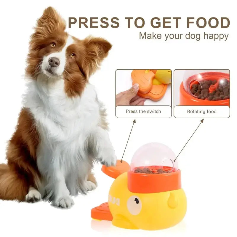 Automatic Interactive Pet Feeder Taylered Picks