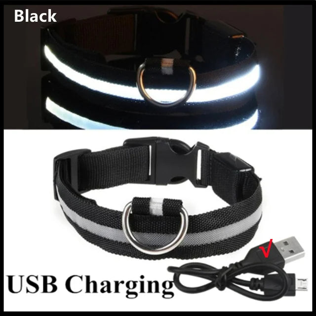 LED Glowing Dog Collars Rechargeable Taylered PicksTaylerpicks.myshopify.com