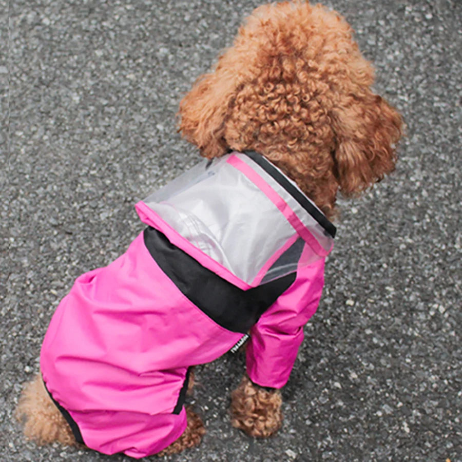 The Dog Face Raincoat for Dogs Taylered PicksTaylerpicks.myshopify.com