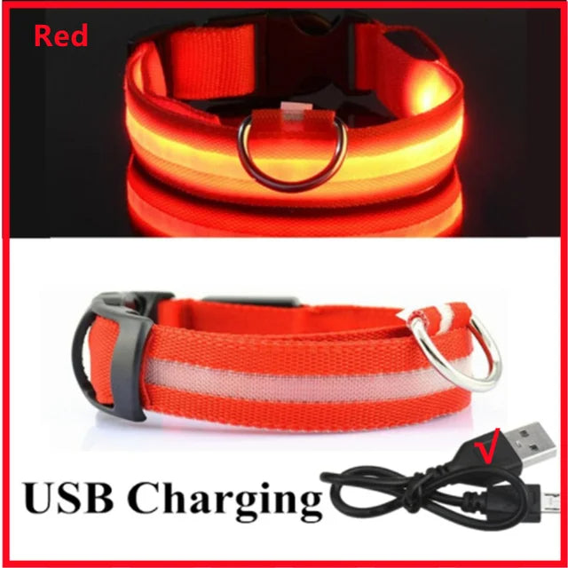 LED Glowing Dog Collars Rechargeable Taylered PicksTaylerpicks.myshopify.com