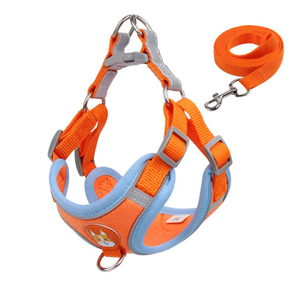 Pet Cat Harness And Leash Set Taylered PicksTaylerpicks.myshopify.com