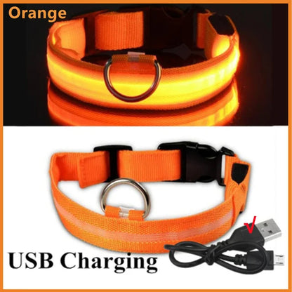 LED Glowing Dog Collars Rechargeable Taylered PicksTaylerpicks.myshopify.com