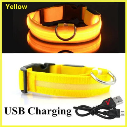 LED Glowing Dog Collars Rechargeable Taylered PicksTaylerpicks.myshopify.com