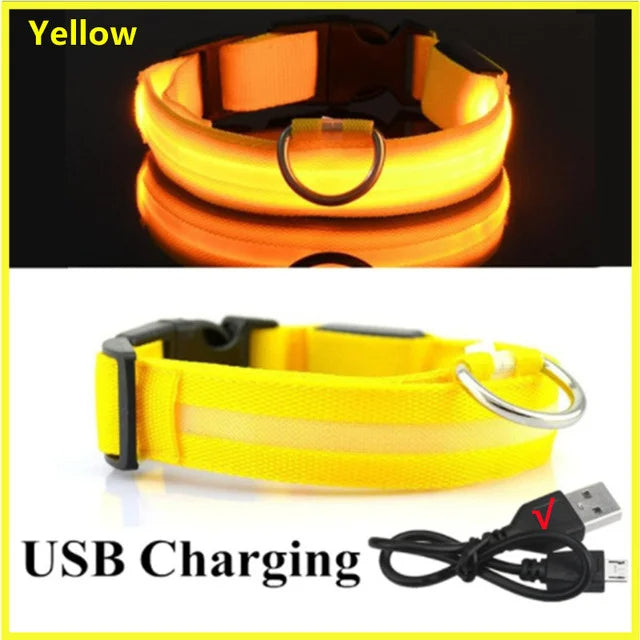 LED Glowing Dog Collars Rechargeable Taylered PicksTaylerpicks.myshopify.com