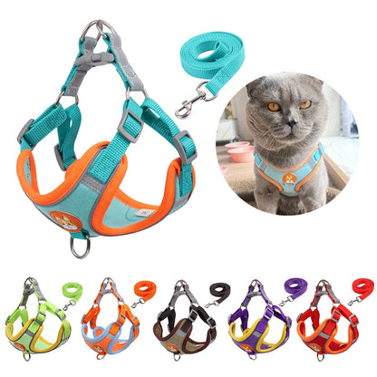 Pet Cat Harness And Leash Set Taylered PicksTaylerpicks.myshopify.com