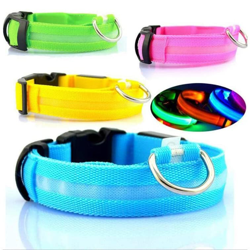 LED Glowing Dog Collars Rechargeable Taylered PicksTaylerpicks.myshopify.com