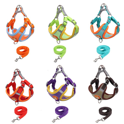 Pet Cat Harness And Leash Set Taylered PicksTaylerpicks.myshopify.com