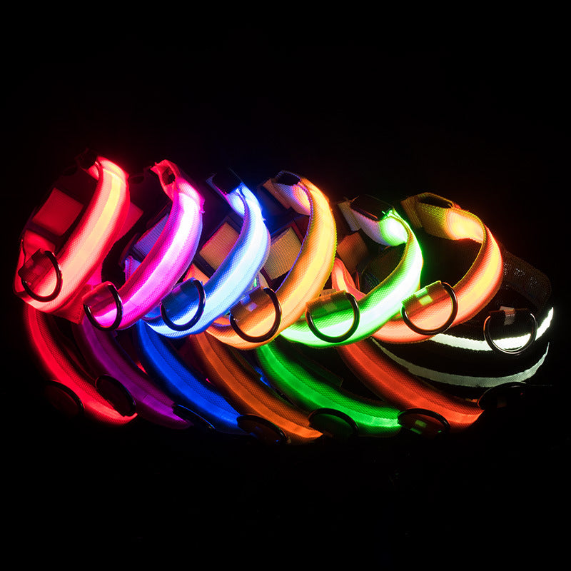 LED Glowing Dog Collars Rechargeable Taylered PicksTaylerpicks.myshopify.com