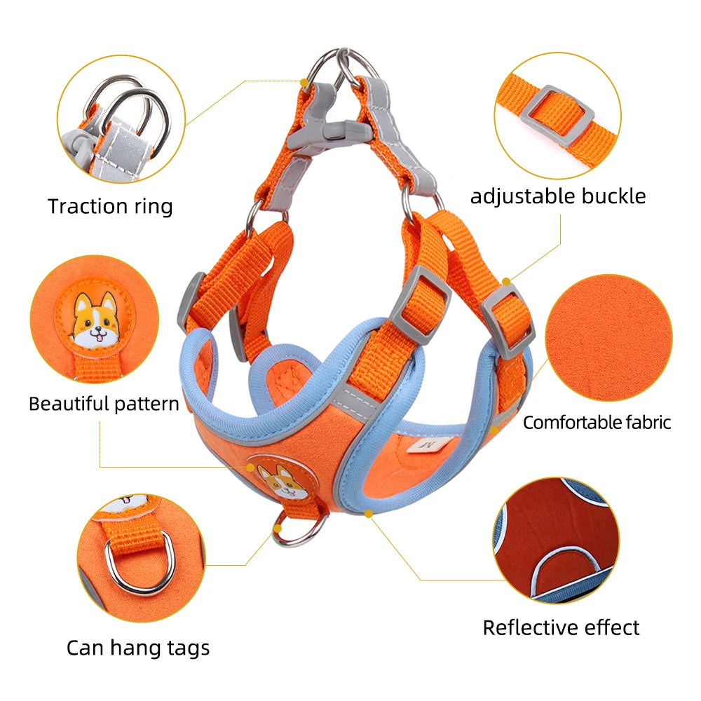 Pet Cat Harness And Leash Set Taylered PicksTaylerpicks.myshopify.com