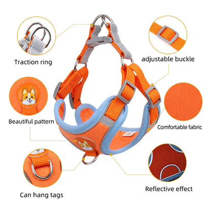 Pet Cat Harness And Leash Set Taylered PicksTaylerpicks.myshopify.com