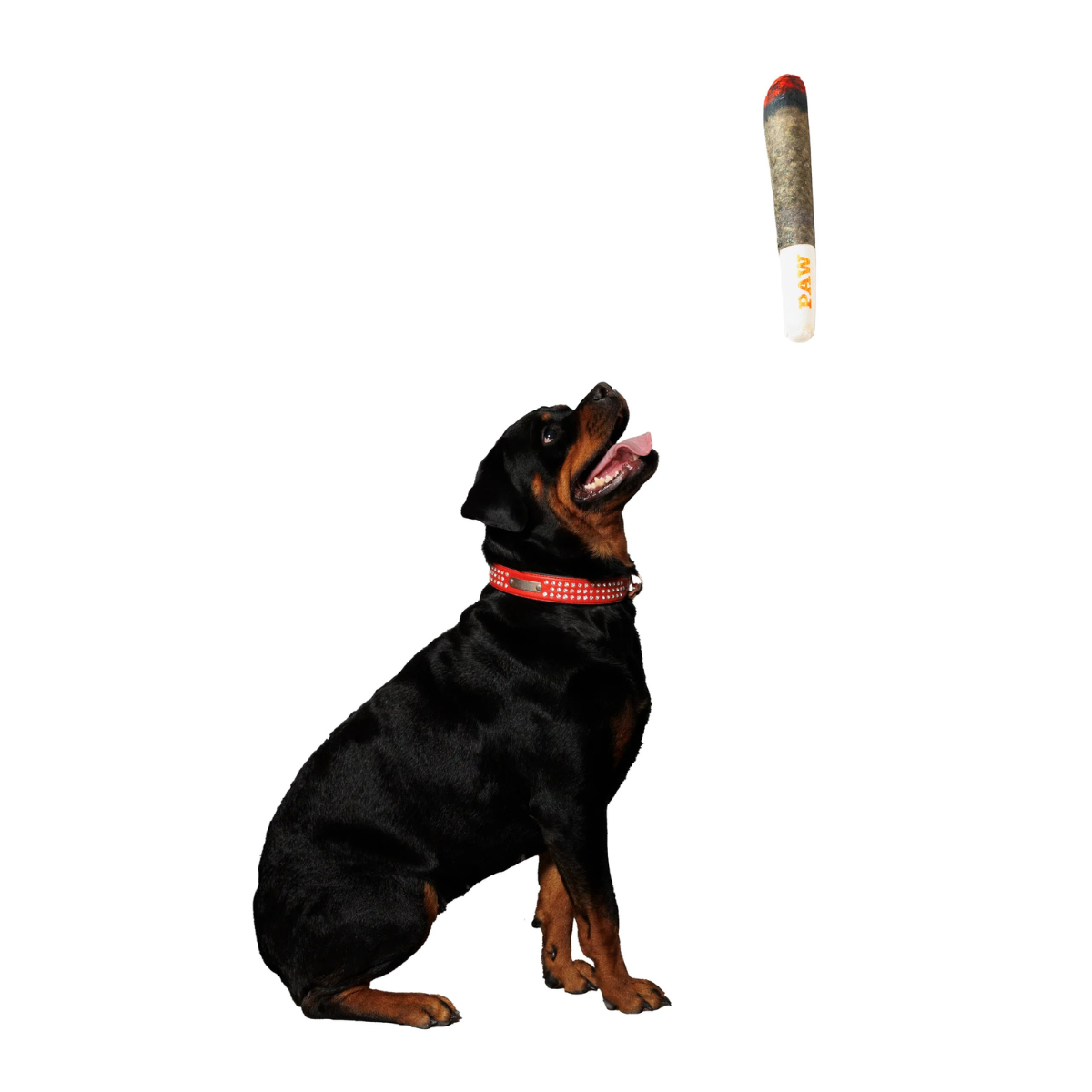 Dog Chew Toy Joint Taylered PicksTaylerpicks.myshopify.com
