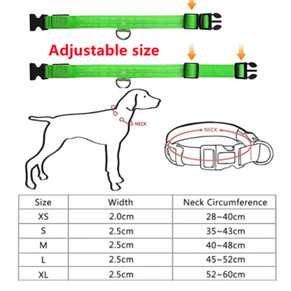 LED Glowing Dog Collars Rechargeable Taylered PicksTaylerpicks.myshopify.com