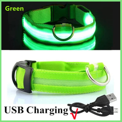 LED Glowing Dog Collars Rechargeable Taylered PicksTaylerpicks.myshopify.com