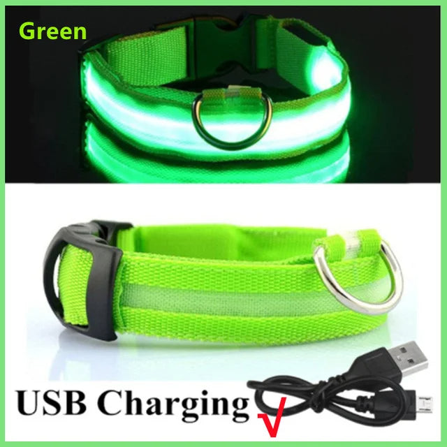 LED Glowing Dog Collars Rechargeable Taylered PicksTaylerpicks.myshopify.com
