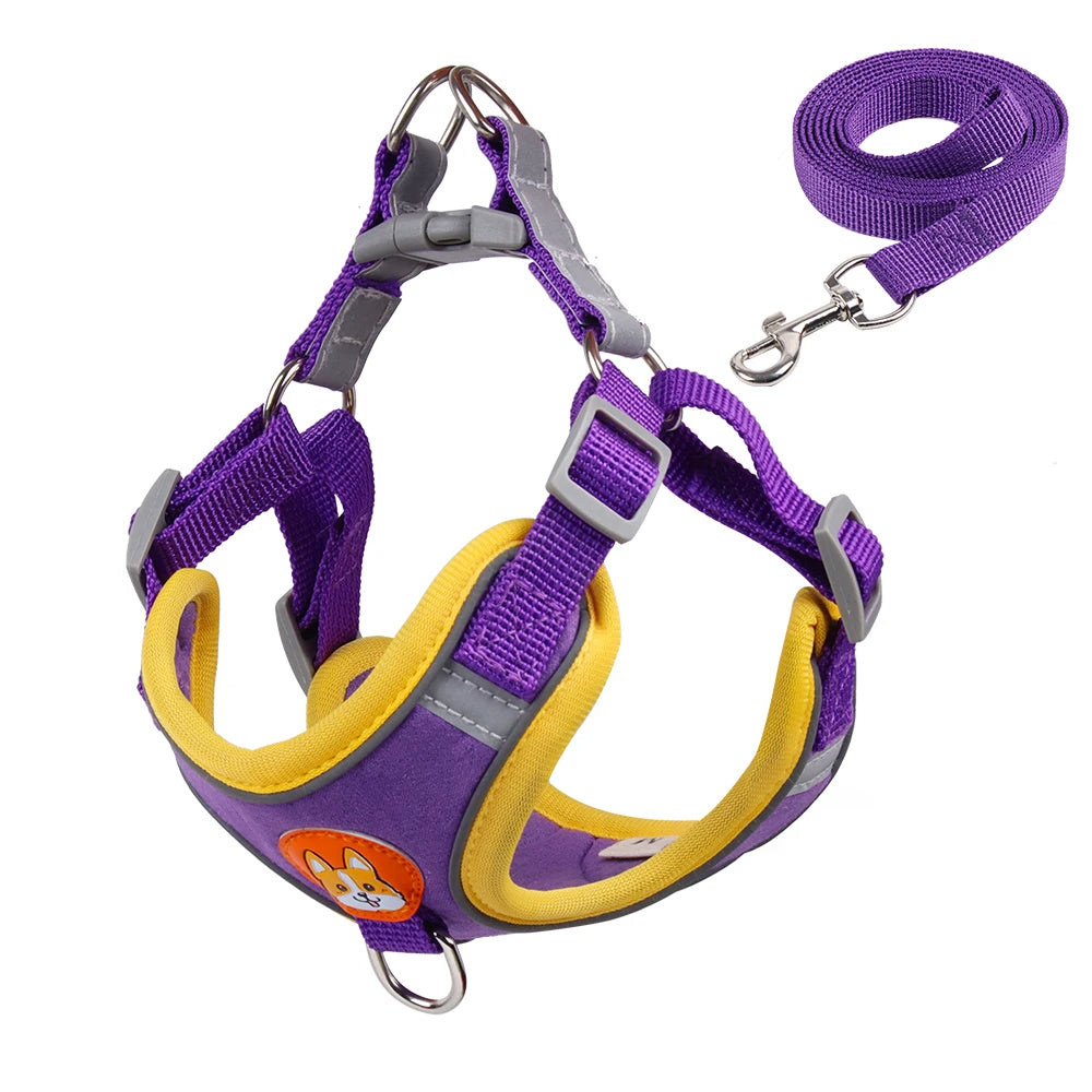 Pet Cat Harness And Leash Set Taylered PicksTaylerpicks.myshopify.com