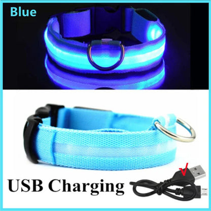 LED Glowing Dog Collars Rechargeable Taylered PicksTaylerpicks.myshopify.com