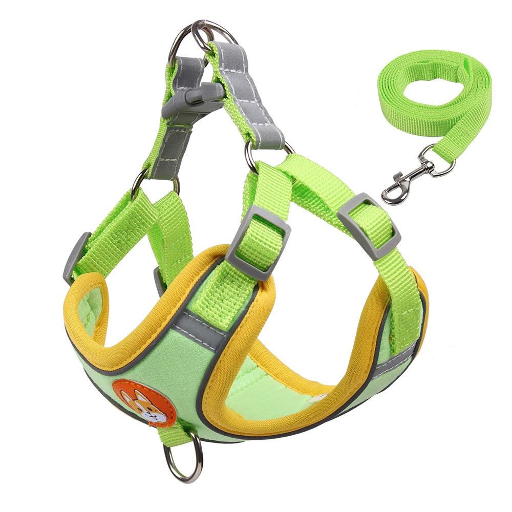 Pet Cat Harness And Leash Set Taylered PicksTaylerpicks.myshopify.com