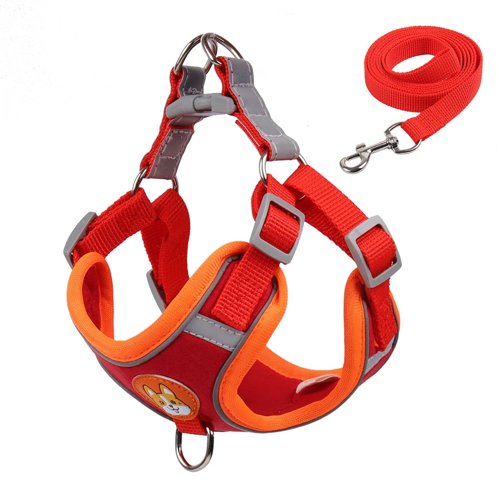 Pet Cat Harness And Leash Set Taylered PicksTaylerpicks.myshopify.com