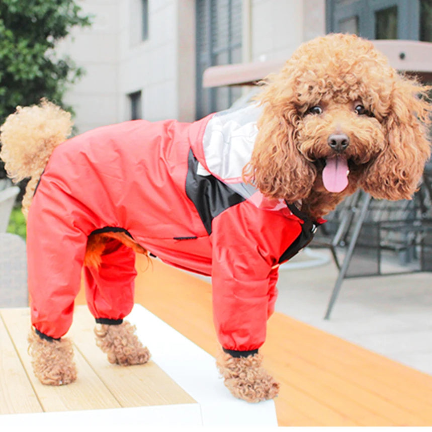 The Dog Face Raincoat for Dogs Taylered PicksTaylerpicks.myshopify.com